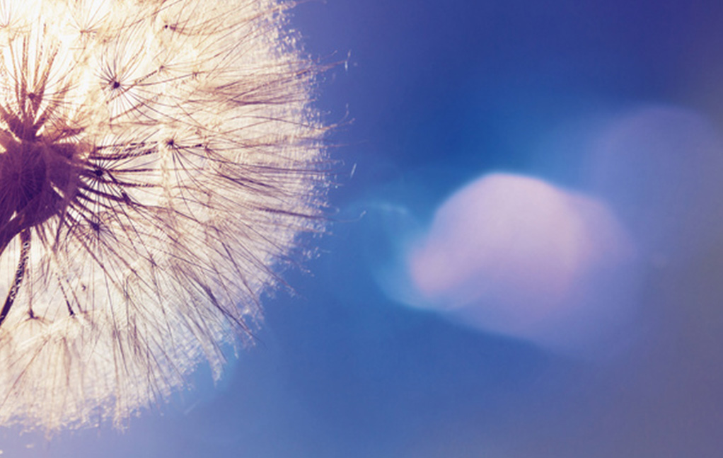 Bwin·必赢(亚洲)唯一官方网站